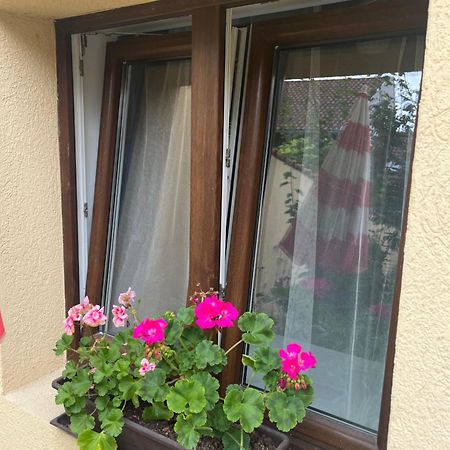 Kerti franciaágyas apartman Vác Kültér fotó