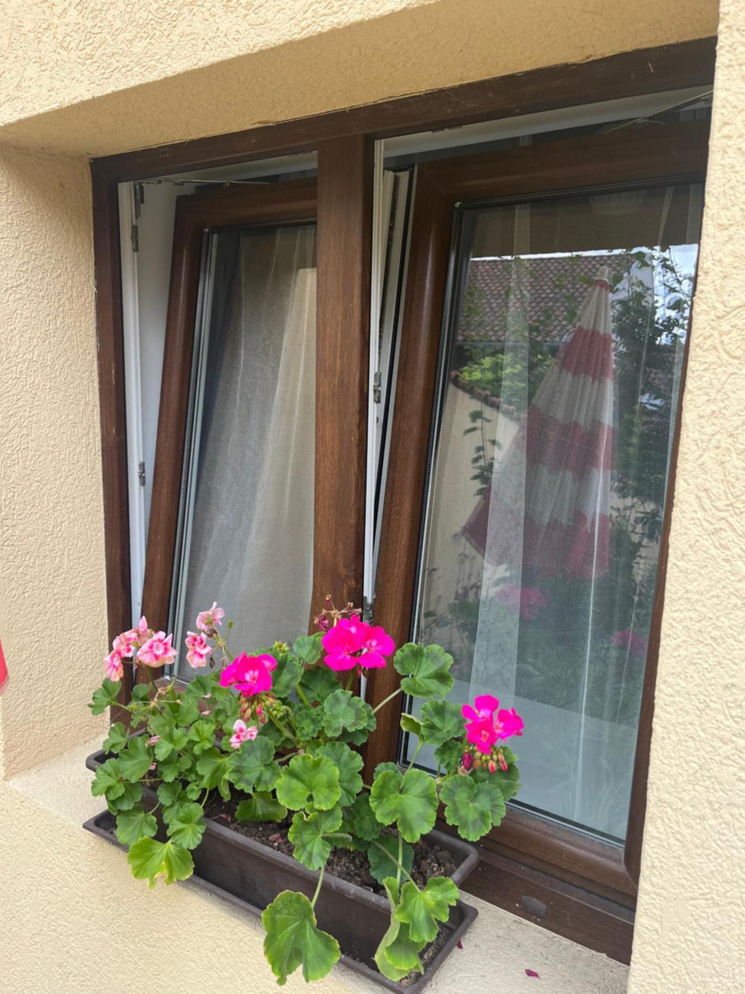Kerti franciaágyas apartman Vác Kültér fotó